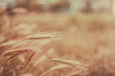 Similar image 10943554