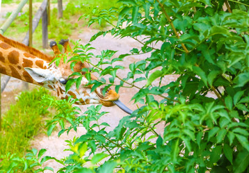 Similar image 10925158