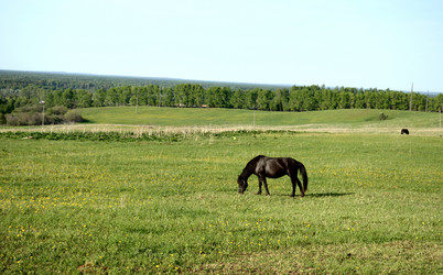 Similar image 10917443