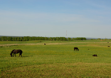 Similar image 10917444