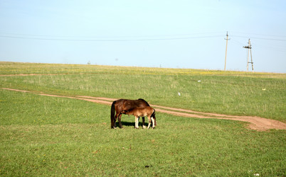 Similar image 10917447