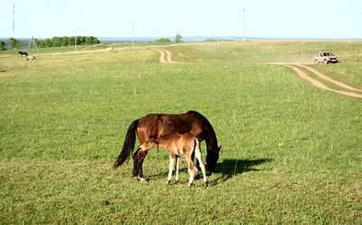 Similar image 10917386