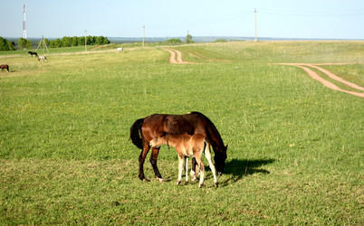 Similar image 10917448