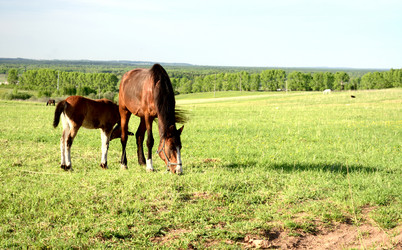 Similar image 10917449