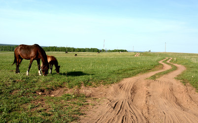 Similar image 10917371