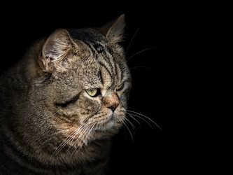 Similar image 10917328