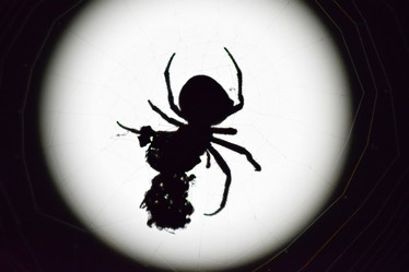 Similar image 10925315