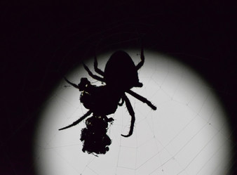 Similar image 10925416