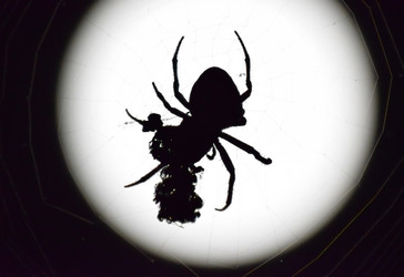 Similar image 10925417