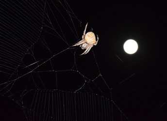 Similar image 10925418