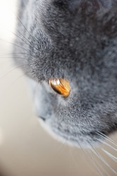 Similar image 10943448