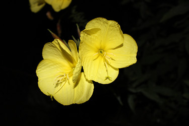 Similar image 10922093