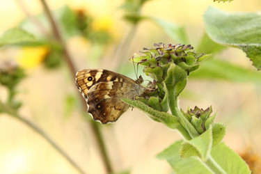 Similar image 10917330