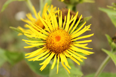 Similar image 10917331