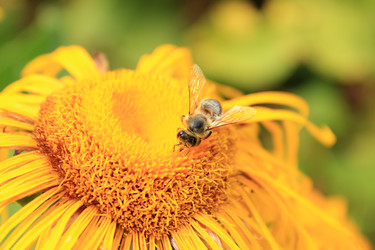 Similar image 10917332