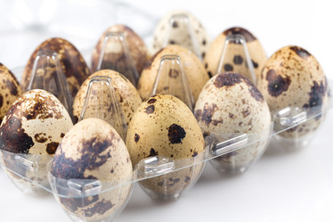 Similar image 10917715