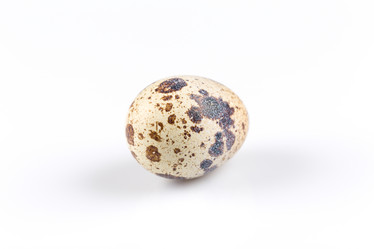 Similar image 10917719