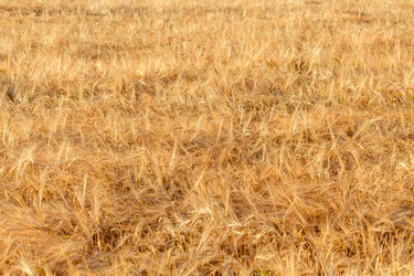 Similar image 10917723