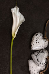 Similar image 10919914