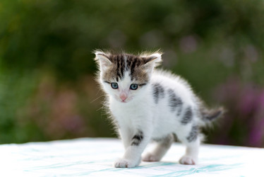 Similar image 10917496