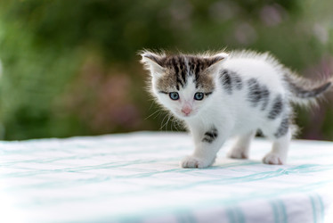 Similar image 10917497