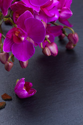 Similar image 10921092