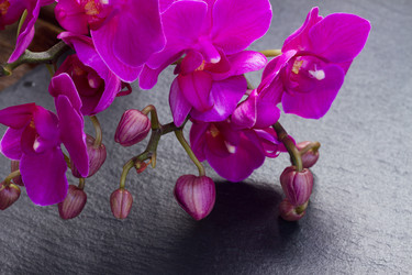 Similar image 10921094