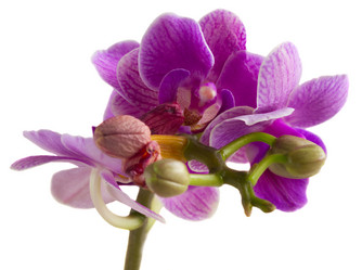 Similar image 10921111