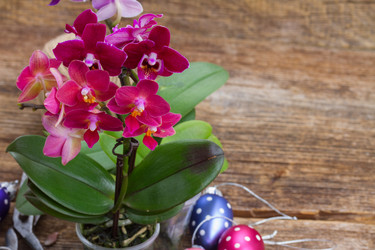 Similar image 10920975