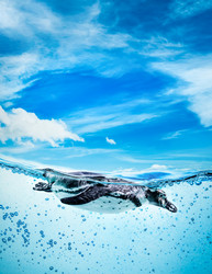 Similar image 10920181