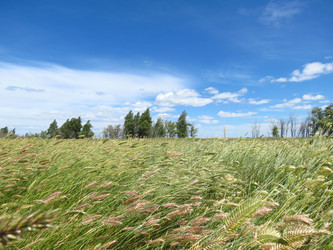 Similar image 10917392