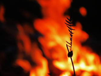 Similar image 10917395