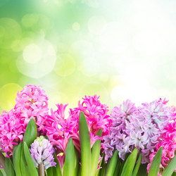 Similar image 10921103