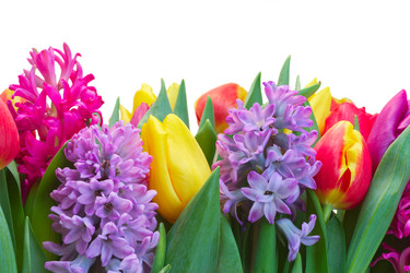 Similar image 10921118