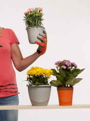 Similar image 10918024