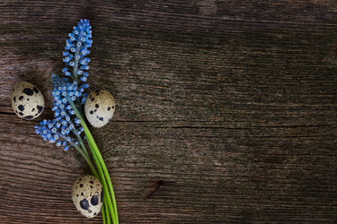 Similar image 10921078