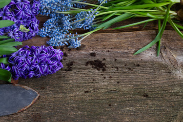 Similar image 10921079