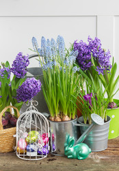 Similar image 10921104