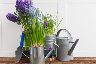 Similar image 10921122