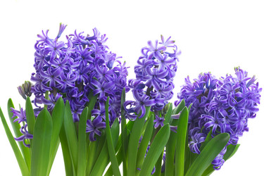 Similar image 10921123