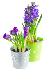 Similar image 10921125