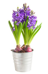 Similar image 10921126