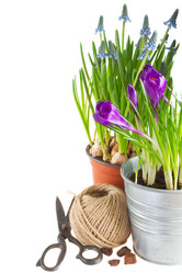 Similar image 10921127