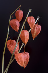 Similar image 10917353