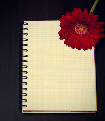 Similar image 10917408