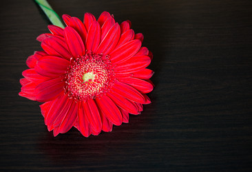 Similar image 10917409