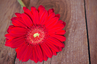 Similar image 10917410