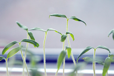 Similar image 10917560