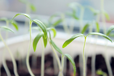 Similar image 10917569