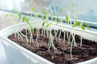 Similar image 10917570